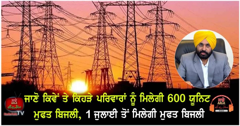 punjab announces 300 units