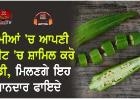 health benefits of ladyfinger