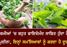 health benefits of mint leaves