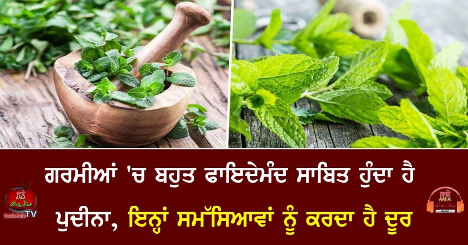 health benefits of mint leaves