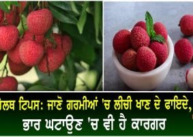 health benefits of lychee