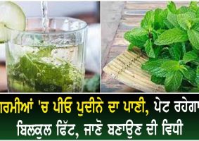 mint water health benefits