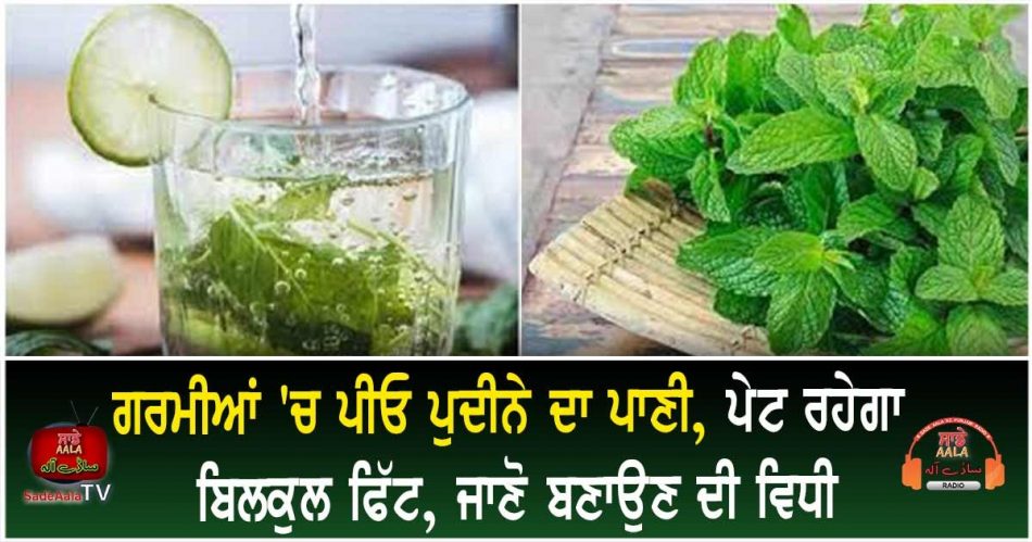 mint water health benefits