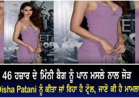 disha patani trolls beacause