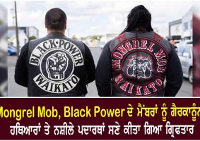 mongrel mob black power members arrested