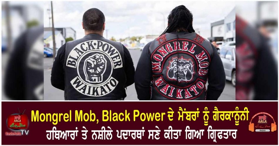 mongrel mob black power members arrested