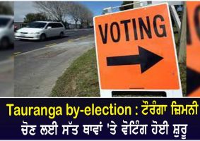 Tauranga by election voting opens