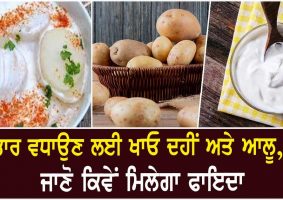 potato with curd helps in weight gain