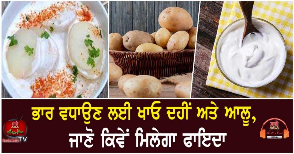 potato with curd helps in weight gain