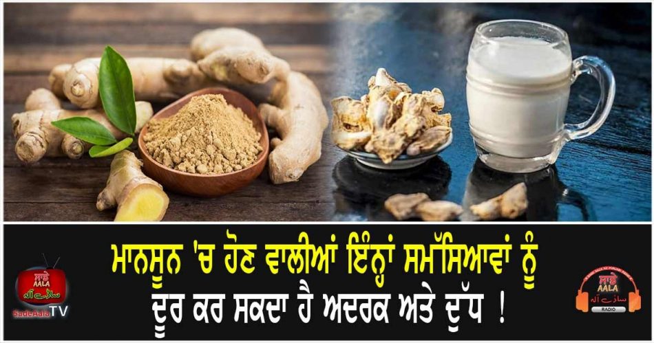 ginger milk benefits during monsoon