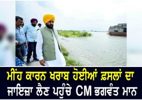 CM Bhagwant Mann visits villages affected