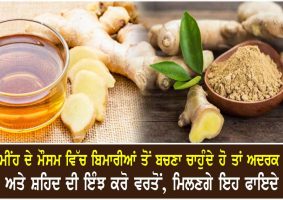 dry ginger powder with honey benefits