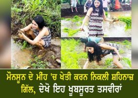 shehnaaz gill takes up farming