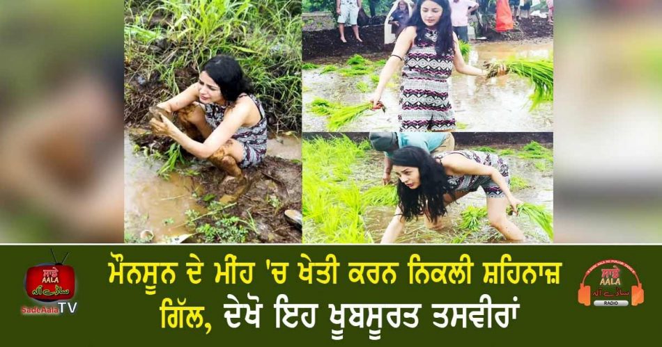 shehnaaz gill takes up farming