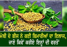 health benefits of fenugreek seeds