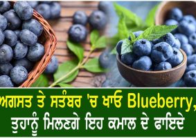 health benefits of blueberry