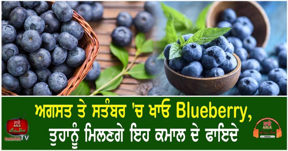 health benefits of blueberry