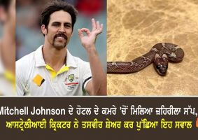 mitchell johnson snake in hotel room