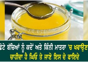 how much ghee for babies