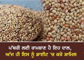 health benefits of kulthi dal