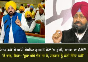 partap singh bajwa attack on aap