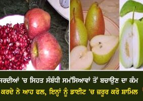 healthy winter season fruits