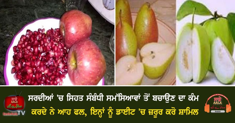 healthy winter season fruits