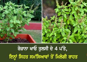 health benefits of tulsi