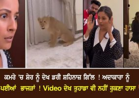 shehnaaz gill gets scared seeing lion