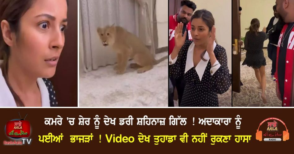 shehnaaz gill gets scared seeing lion