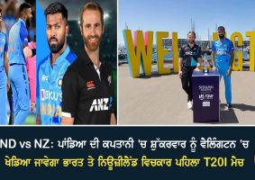 india vs new zealand 1st t20 match