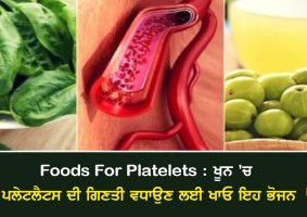 Foods For Increase to Platelet Count