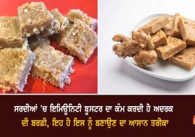 health benefits of ginger barfi