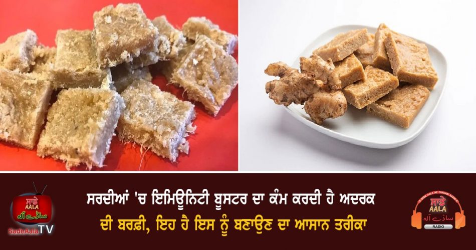 health benefits of ginger barfi