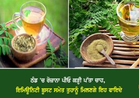 Curry Leaves Tea Benefits