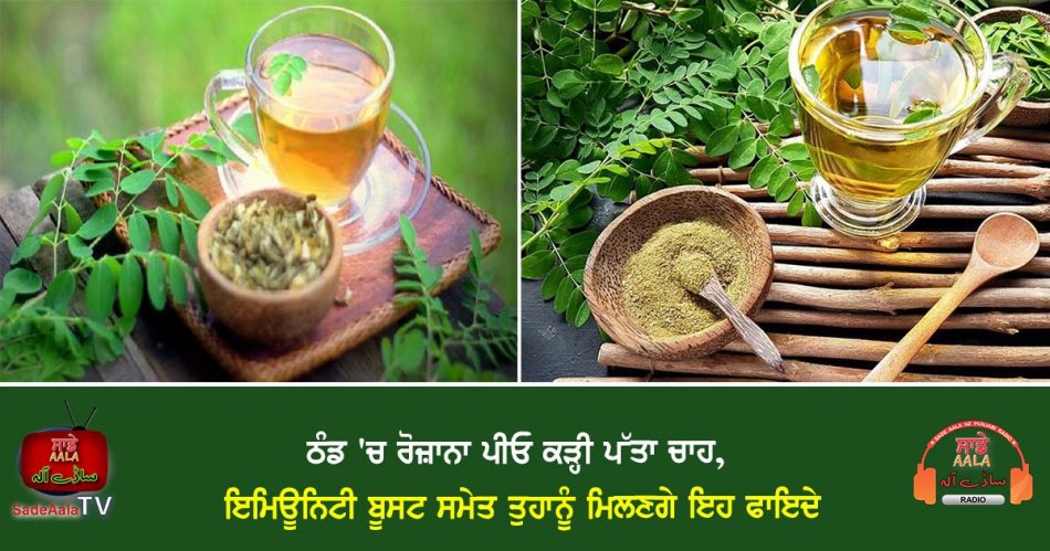 Curry Leaves Tea Benefits