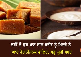 consumption of curd and jaggery