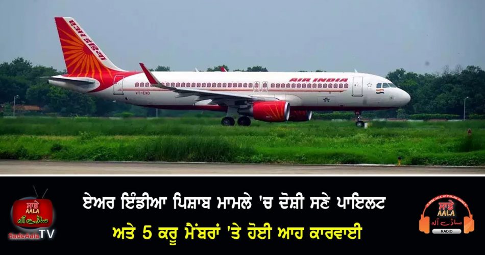 air india flight urinating controversy