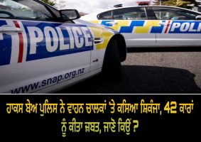 hawke's bay police impound 42 cars