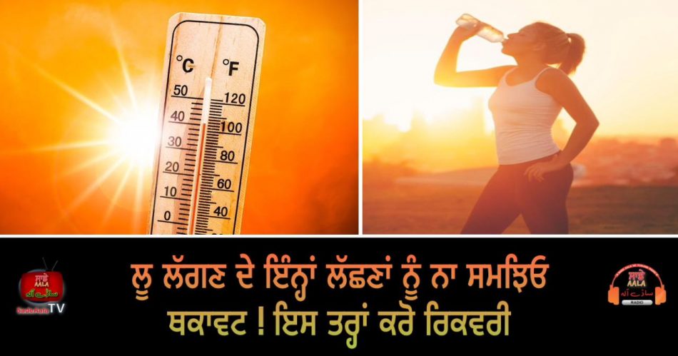 heat wave effects on body