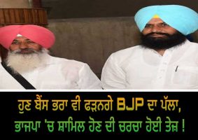 bains brothers may join bjp