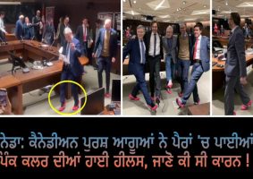 politicians wear pink heels in canada