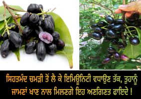 health benefits of jamun