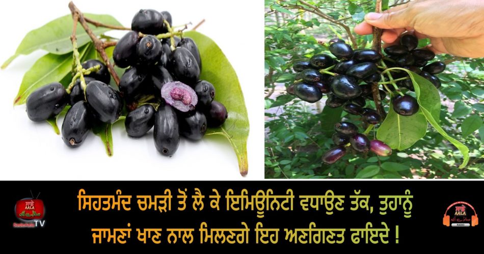 health benefits of jamun