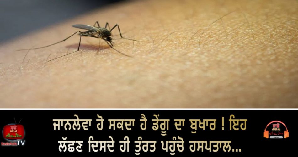 dengue cases are rising follow