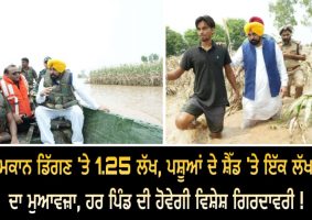 cm-bhagwant-mann-announces-compensation