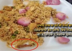 uproar after worm found in pulao