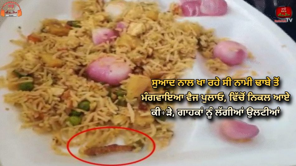 uproar after worm found in pulao