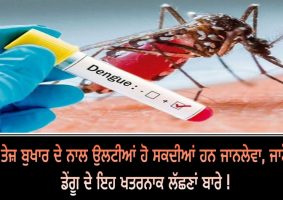 dengue symptoms can be very dangerous