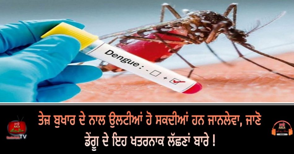 dengue symptoms can be very dangerous